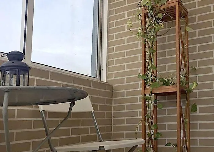 Casa Da Musica Boavista *